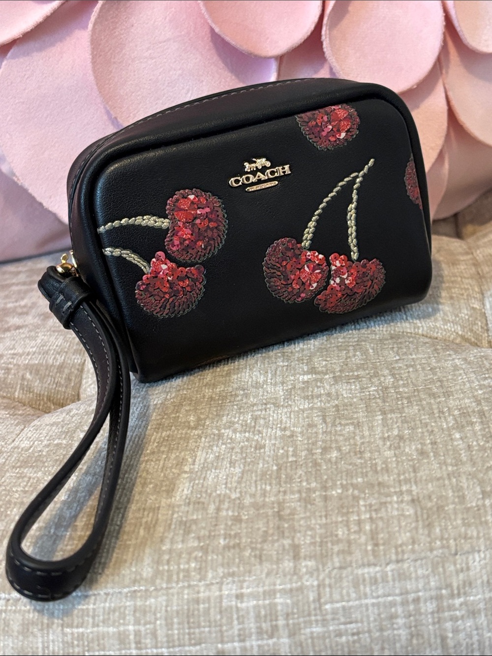 Coach cherry 🍒 mini case